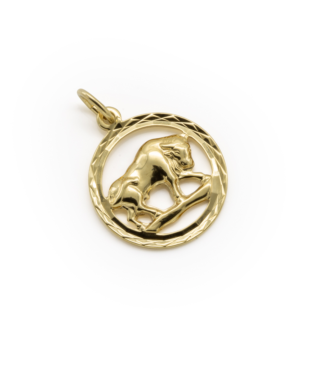 Anhänger Sternzeichen Stier 333er Gelbgold