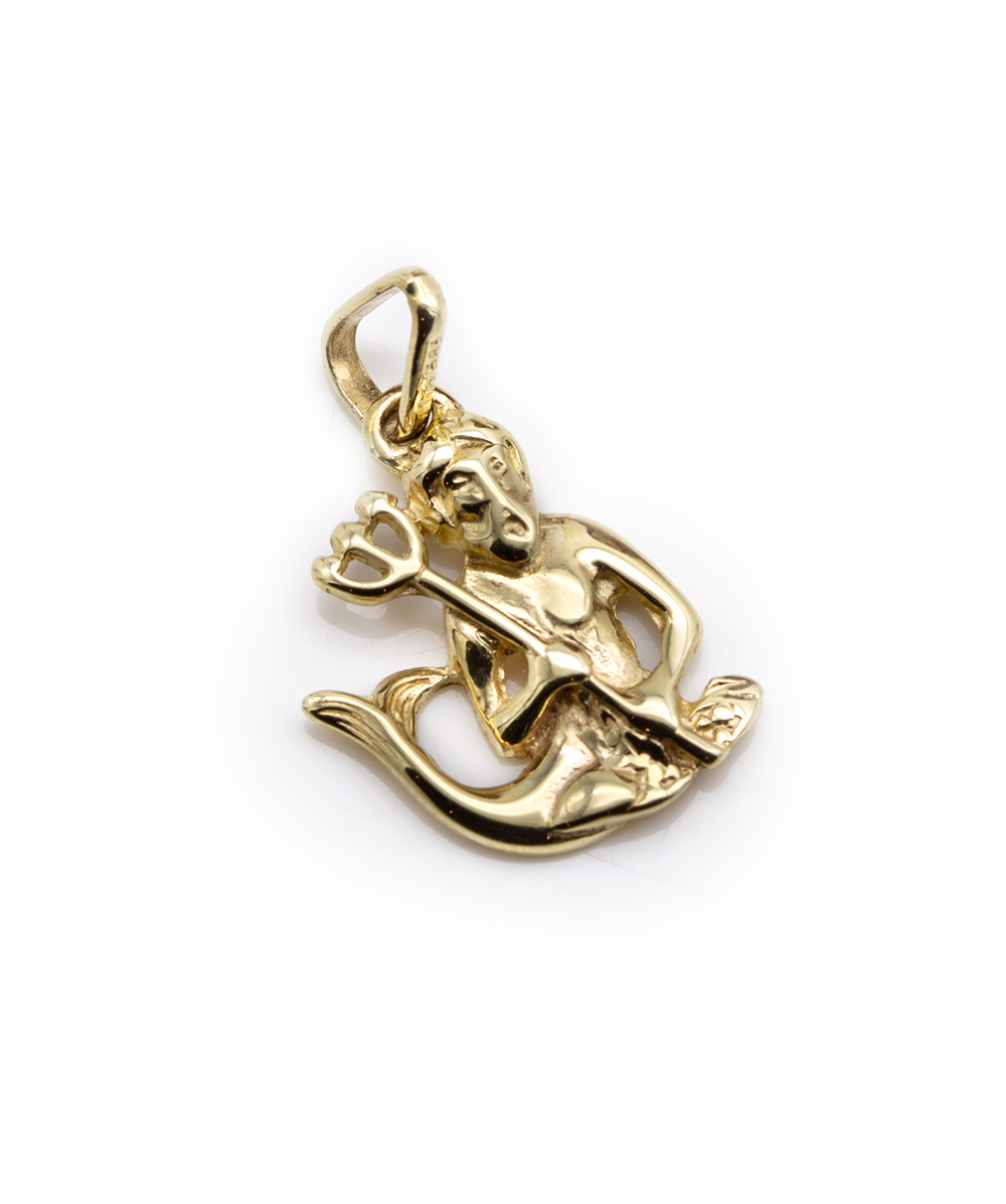 Anhänger Wassermann 585er Gelbgold